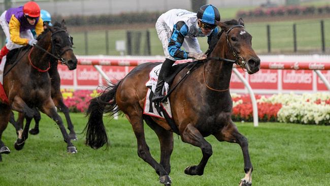 Flying Mascot cruised to victory under Blaike McDougall. Picture: Racing Photos