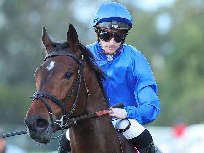 SYDNEY, AUSTRALIA - AUGUST 17: James McDonald riding Tom Kitten wins Race 8  Precise Air Handicap during "Rosebud Day" - Sydney Racing at Rosehill Gardens on August 17, 2024 in Sydney, Australia. (Photo by Jeremy Ng/Getty Images)