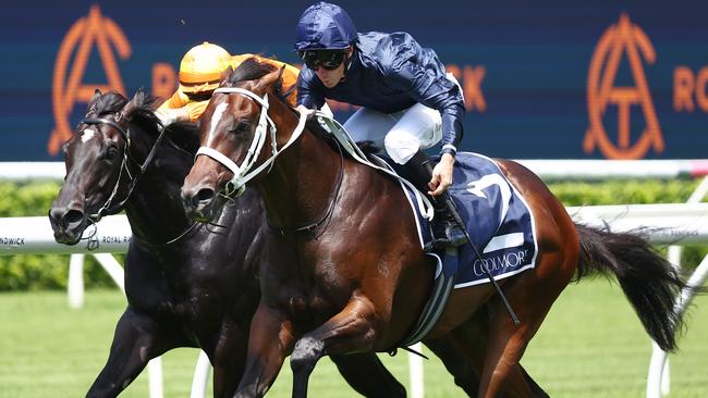 Switzerland cemented his place in Golden Slipper betting with a tough win in the Pierro Plate at Randwick. Picture: Getty Images