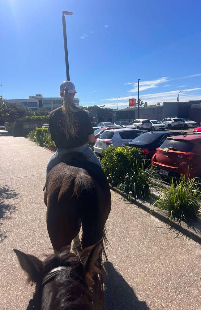 Horses at Coolum Maccas