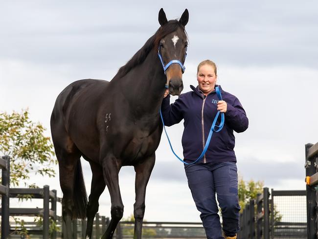 Verry Elleegant (with Caitlyn Beer) at ITR Park in Bolinda is now in France where the plan is to race her against the best stayers in Europe.