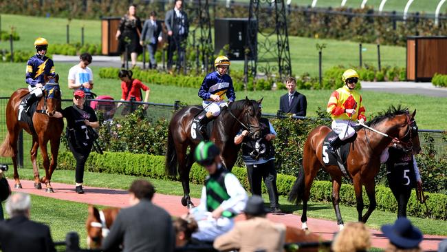 The mounting yard is a good spot to see how your horse is feeling. Picture: AAP