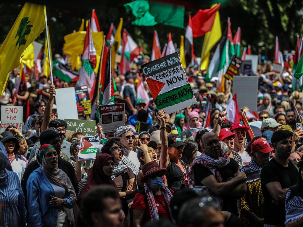 Pro-Palestine supporters at a rally in Sydney. Picture: Roni Bintang/Getty Images