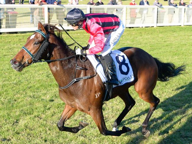 Press Down ridden by Neil Farley wins the Pooles Accountants Golden Topaz at Swan Hill Racecourse on June 07, 2024 in Swan Hill, Australia. (Photo by Brett Holburt/Racing Photos via Getty Images)