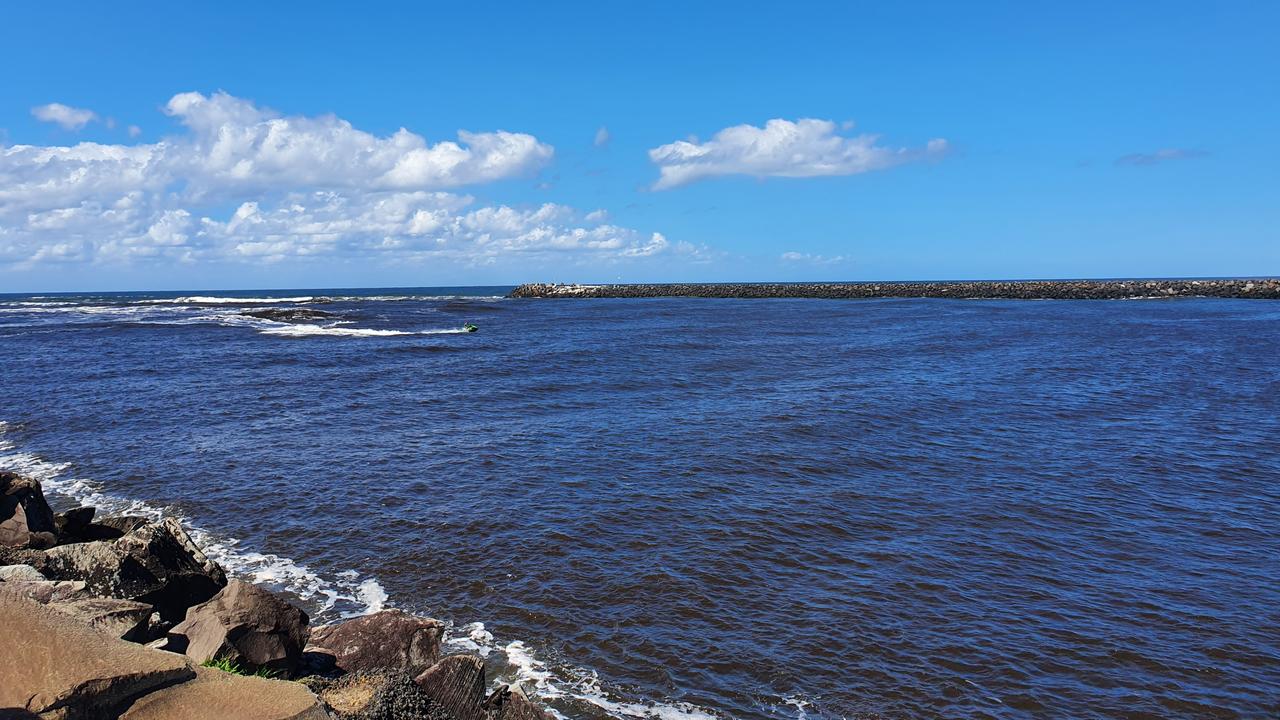 Shark net debate reignites - Northern Beaches Advocate