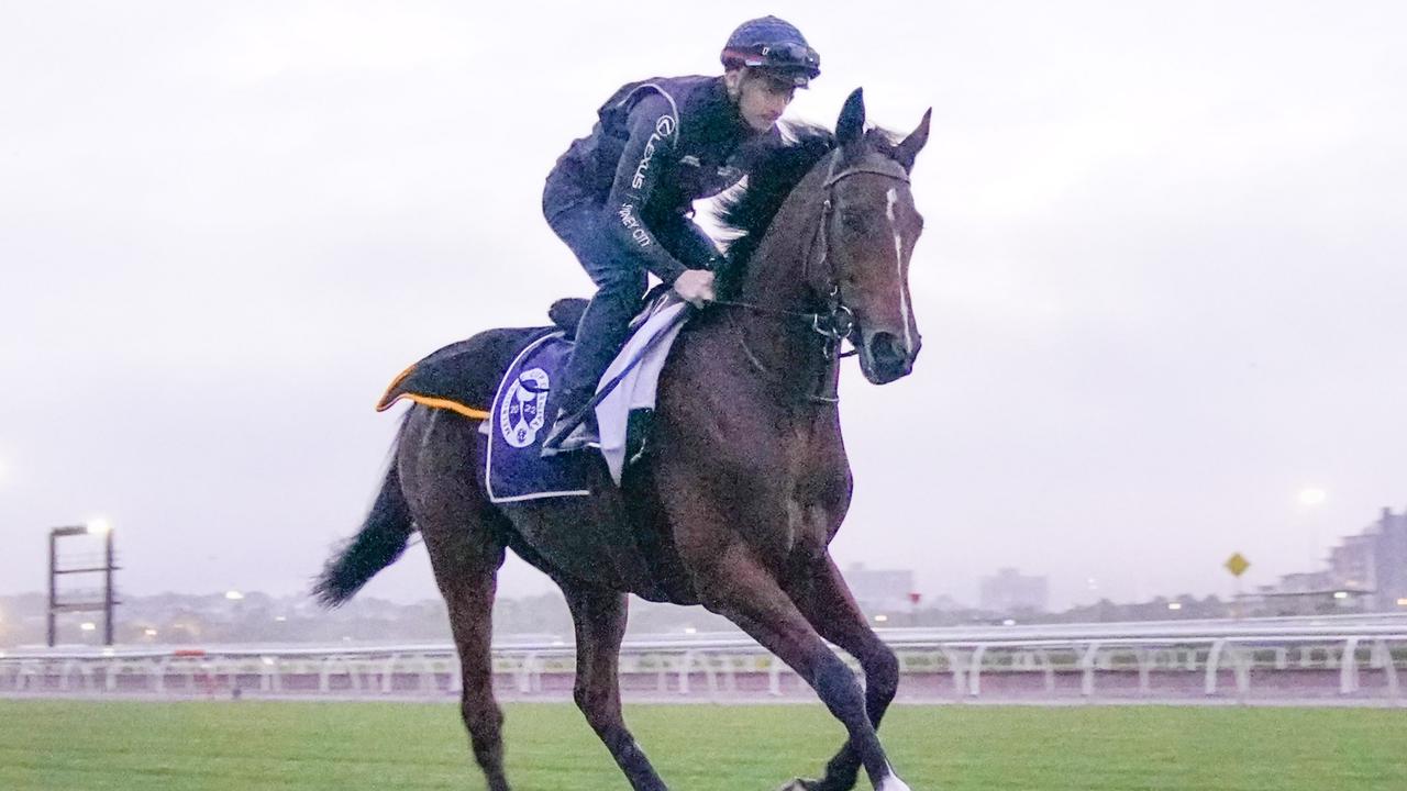 James McDonald rides internationally-trained Lexus Melbourne Cup hopeful Loft.