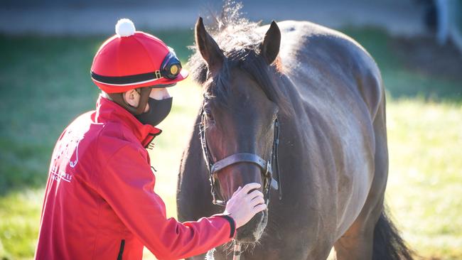 Aled Beech enjoys a playful moment with Prince Of Arran at Werribee on Monday. Photo. Reg Ryan/Racing Photos via Getty Images