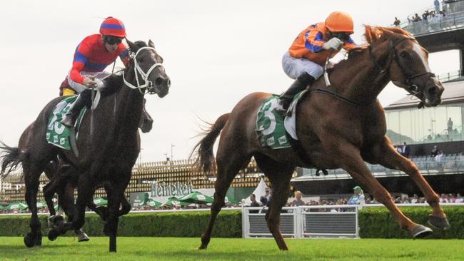 Te Akau Shark stormed home to win the Chipping Norton Stakes. Picture: AAP