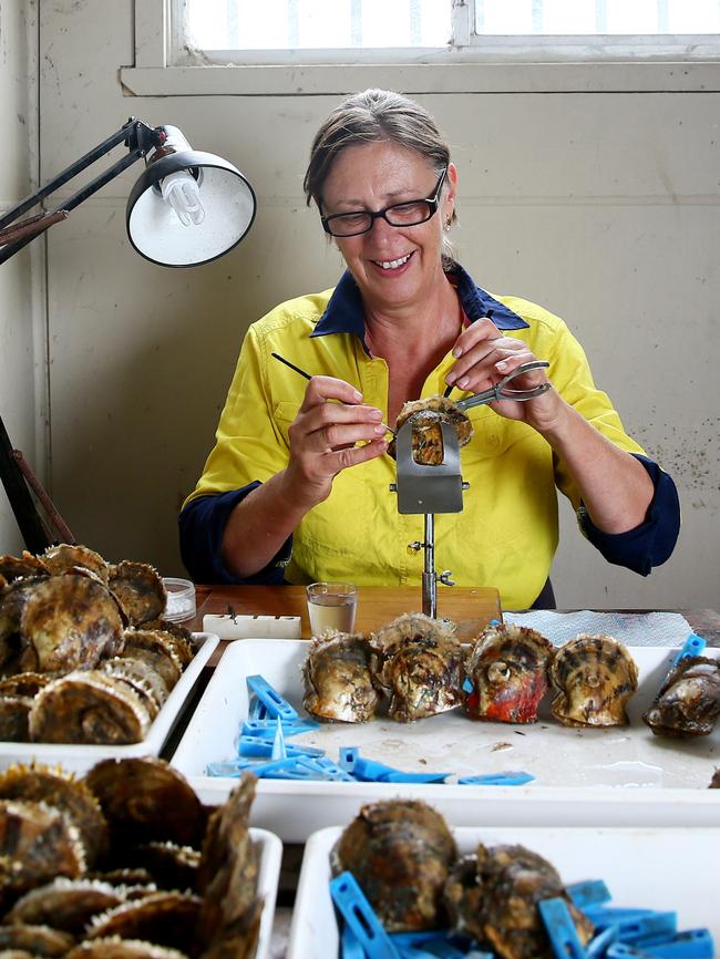 Rose Crisp working on oysters: Picture: AAP Image/Sue Graham