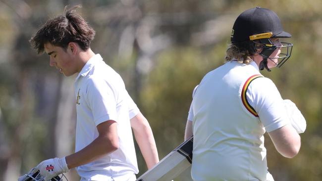 Eighteen junior boys cricket competitions are running in 2024-25. Picture: Mark Wilson