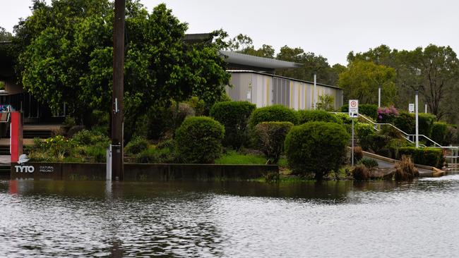 The Ingham library and gallery during the flooding. Picture: Cameron Bates