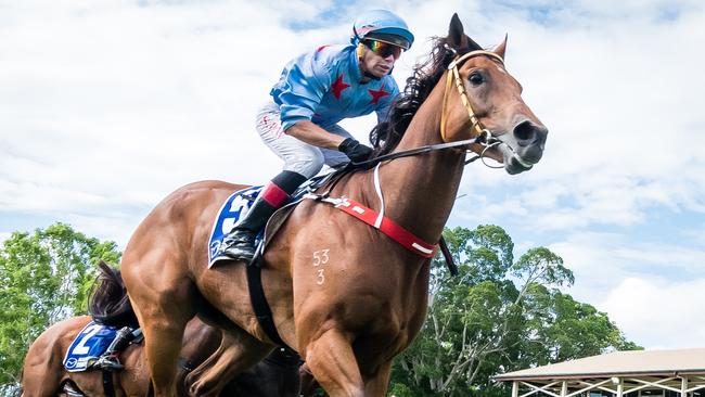 Jockey Stephen Wilson. Picture: Peter Roy.