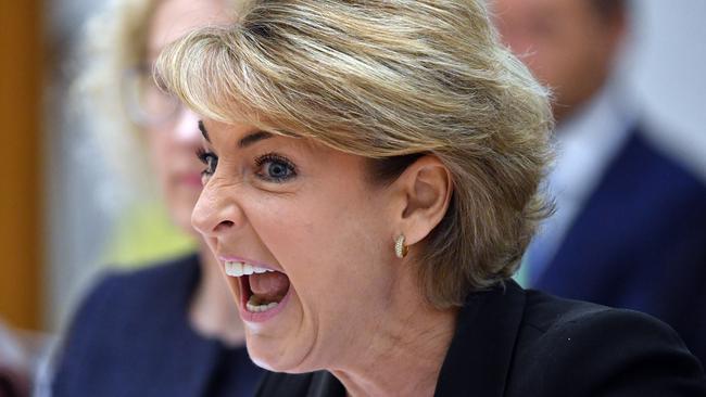 Minister for Jobs Michaelia Cash. Picture: AAP.