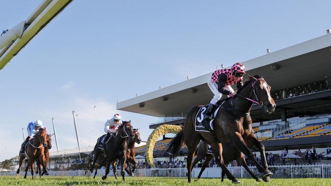 There is hope Rothfire (right) could return to his best after undergoing successful surgery. Picture: Mark Evans/Getty Images