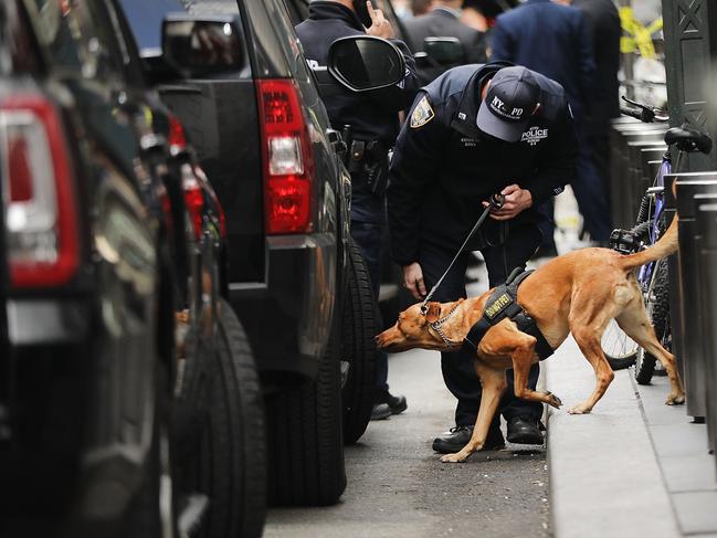 A Police bomb sniffing dog is deployed outside of the Time Warner Center after an explosive device was found this morning on October 24, 2018 in New York City. Picture: Spencer Platt/Getty Images/AFP