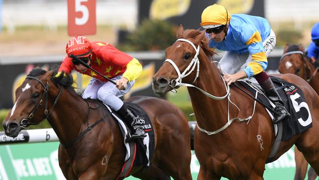 Magic Millions favourite Bondi (left) finishes a close second to Performer in the Breeders Plate at Randwick in September. Photo: AAP Image/David Moir