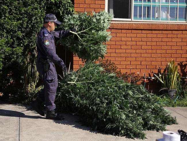 Police seized 58 cannabis plants from a home in Fairfield West in June.