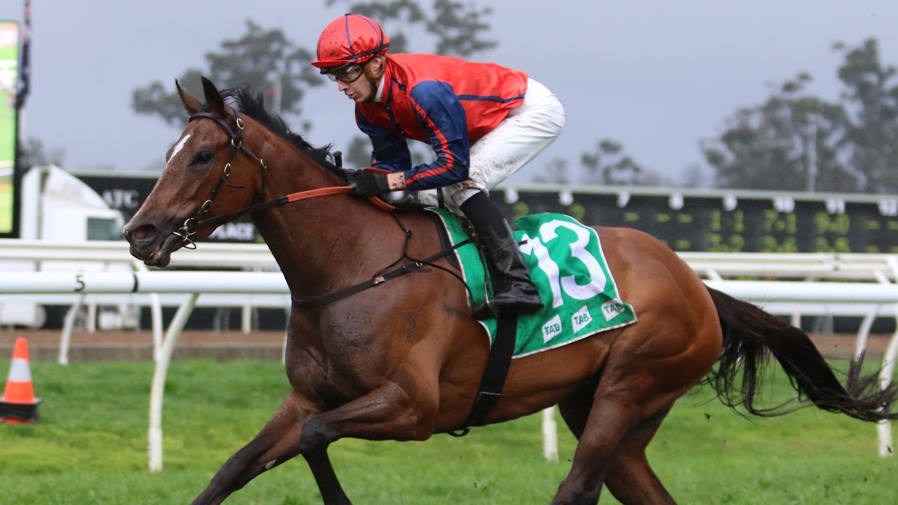 Miss Einstein looks a good each-way chance in the first race at Rosehill on Saturday. Picture: Grant Guy