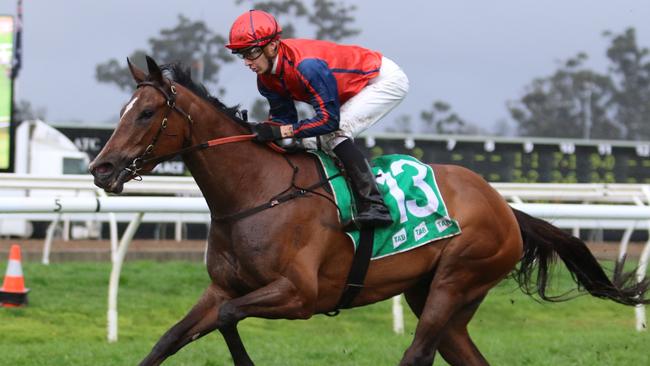 Miss Einstein looks a good each-way chance in the first race at Rosehill on Saturday. Picture: Grant Guy