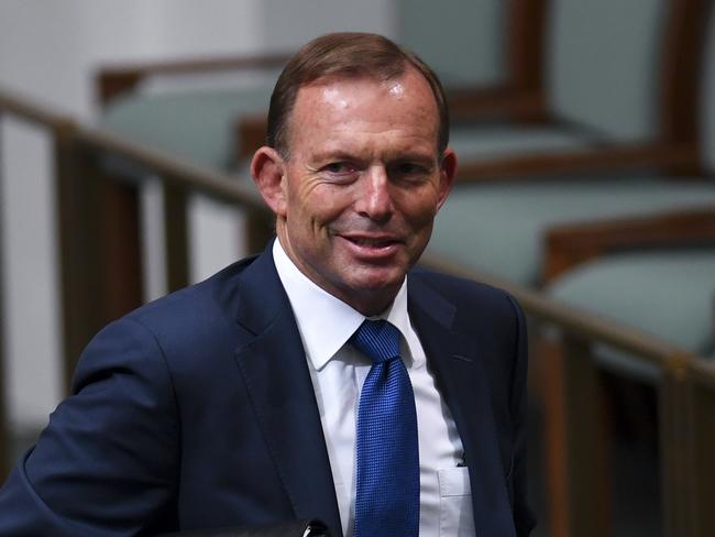 Tony Abbott’s amendment was not supported. Picture: Lukas Coch/AAP