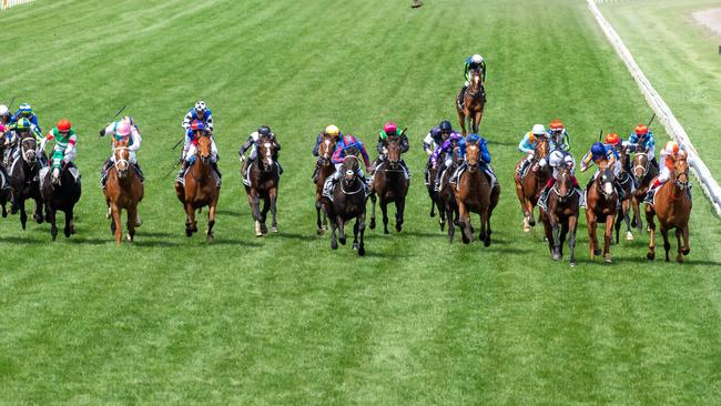 Rostropovich trails the field as the Lindsay Park stayer is eased of the race in the home straight.