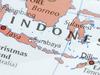 EV makers ‘will need Indonesian nickel’