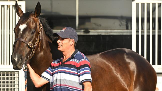 Imperatriz with strapper Jason Levin at the Te Akau Racing stables in Cranbourne. Picture: Vince Caligiuri/Getty Images