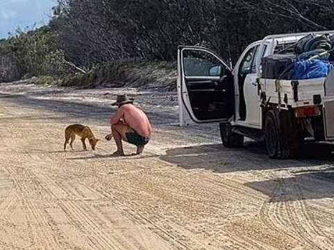 Tourist cops $2300 fine for ‘brazen’ act