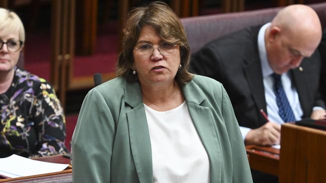 Senator Kerrynne Liddle on Monday during Question Time in the Senate at Parliament House in Canberra. Picture: NCA NewsWire / Martin Ollman