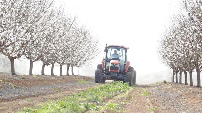 Select Harvests has a new plan to turn almond waste into fertiliser, which it hopes will be more profitable than selling it as stock feed.