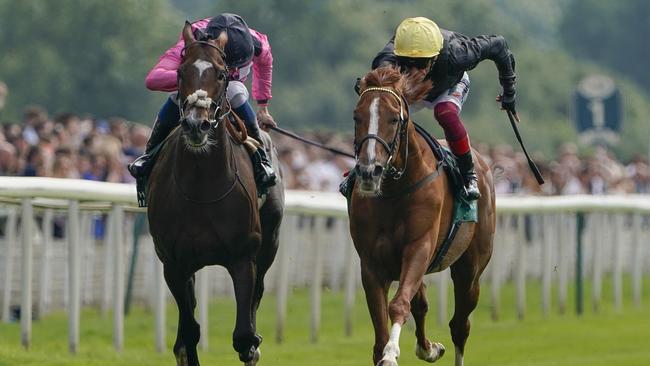 Spanish Mission (left) is a big chance on the Cup after his strong effort against Stradivarius (right) in the Lonsdale Cup. Picture: Getty Images