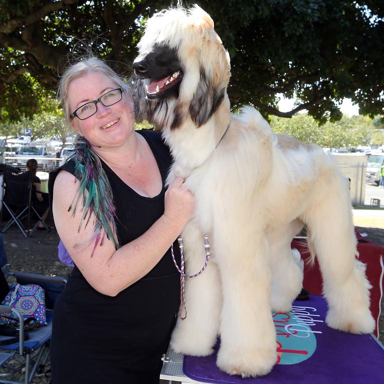 Sarah Rohde with Stella the Afghan Hound who is ready to be judged. Picture: Richard Gosling