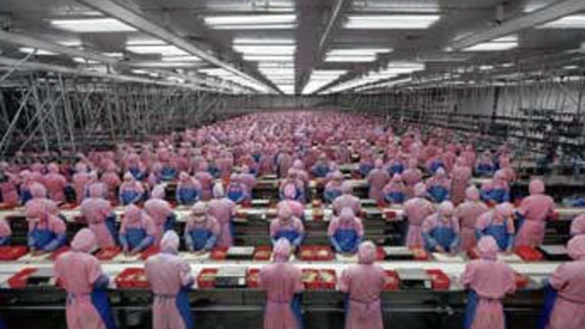 A modern chicken processing plant in China.