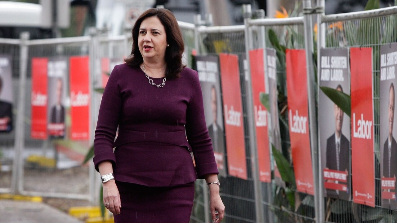 Queensland should move to clear up ‘murky’ abortion law