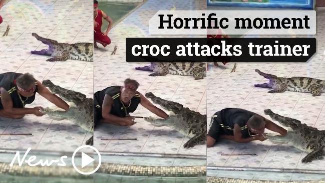 Horrific moment croc attacks trainer