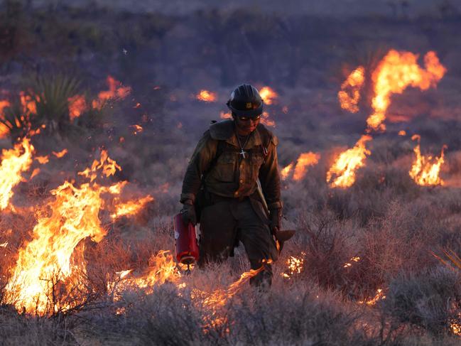 Where the streets have no name in the Mojave National Preserve, fires have burned over 70,000 acres including Joshua trees, as dangerously high temperatures and raging winds drive the fires cross the state line from California into Nevada. Picture: David Swanson/AFP