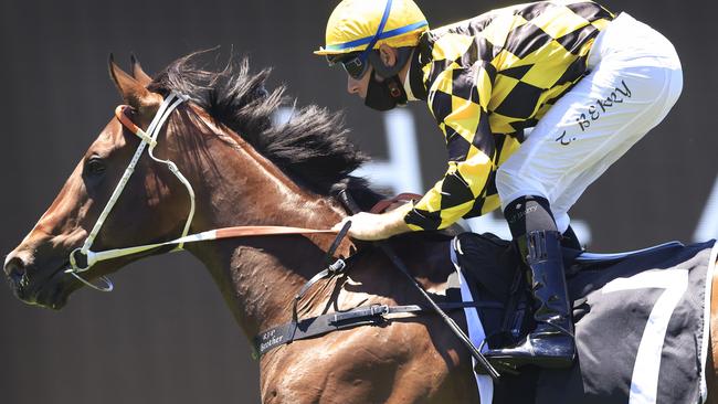 SYDNEY, AUSTRALIA - JANUARY 16: Tommy Berry on Remarque wins race 1 the Agency Real Estate Handicap during Sydney Racing at Rosehill Gardens on January 16, 2021 in Sydney, Australia. (Photo by Mark Evans/Getty Images)