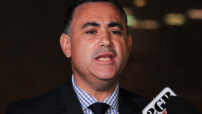 Acting Premier John Barilaro has called on Mr Maguire to resign.