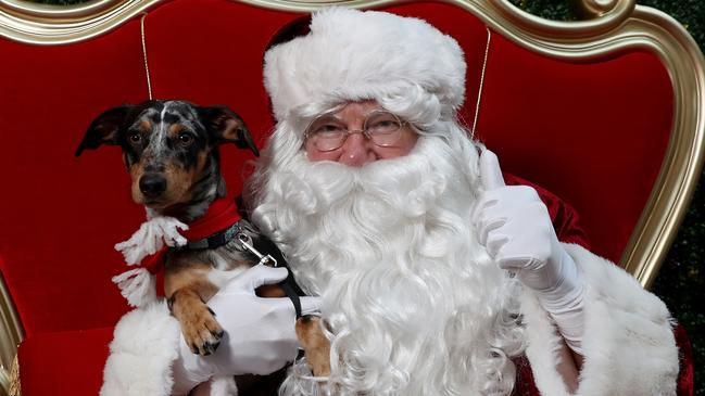 Santa and Alfie get in the Christmas spirit at Westfield Doncaster. Picture: Mark Dadswell.