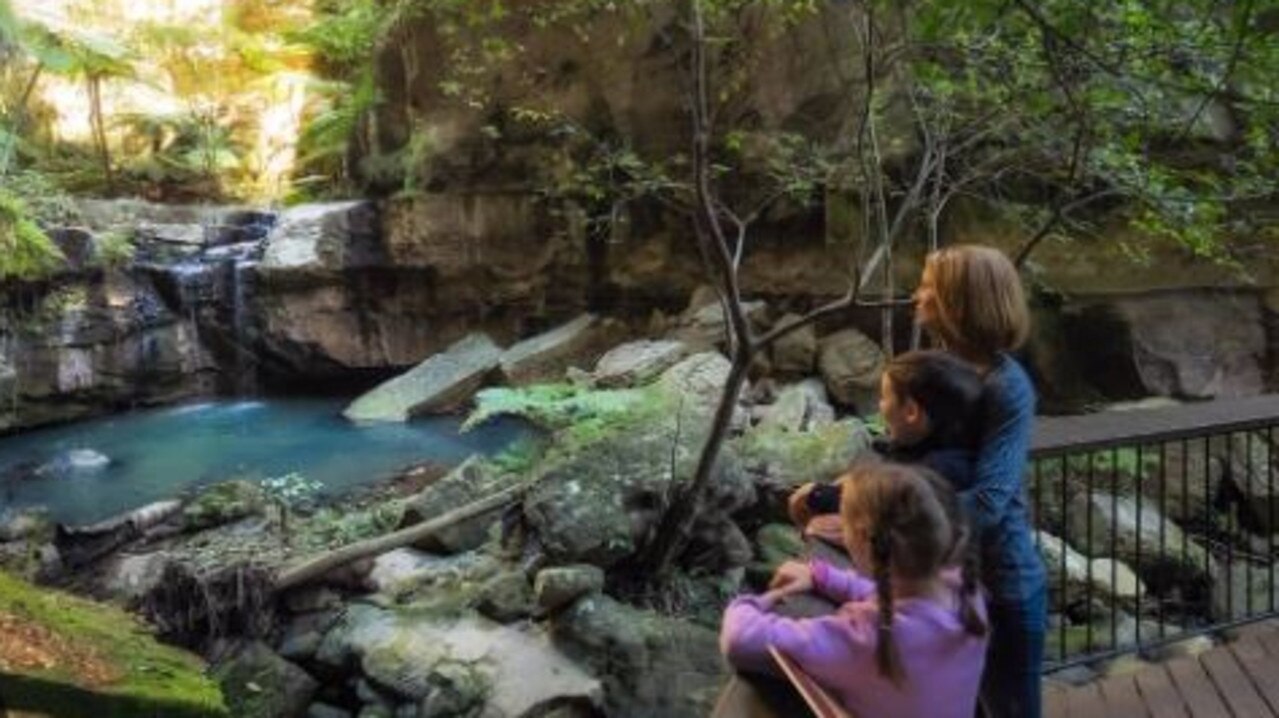 Image of Carnarvon Gorge taken Queensland.com website.