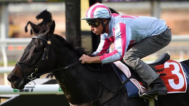 Jockey Michael Cahill rides Azkadellia in a hit-out at Eagle Farm. Picture: AAP Image/Dan Peled