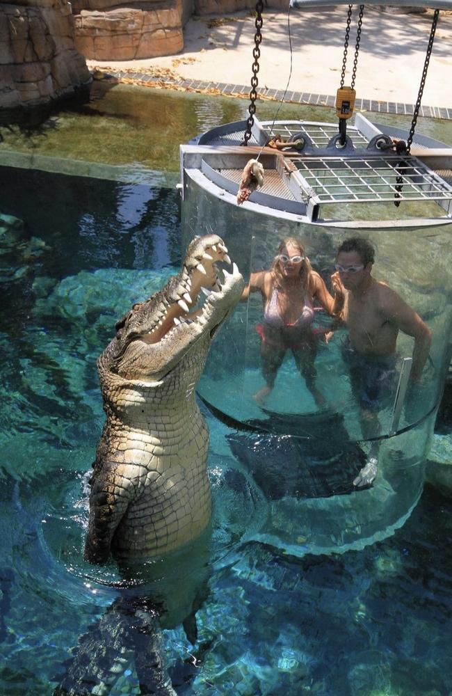 Cage of Death experience at Darwin's Crocosaurus Cove in the Northern Territory. Picture: Crocosaurus Cove Instagram