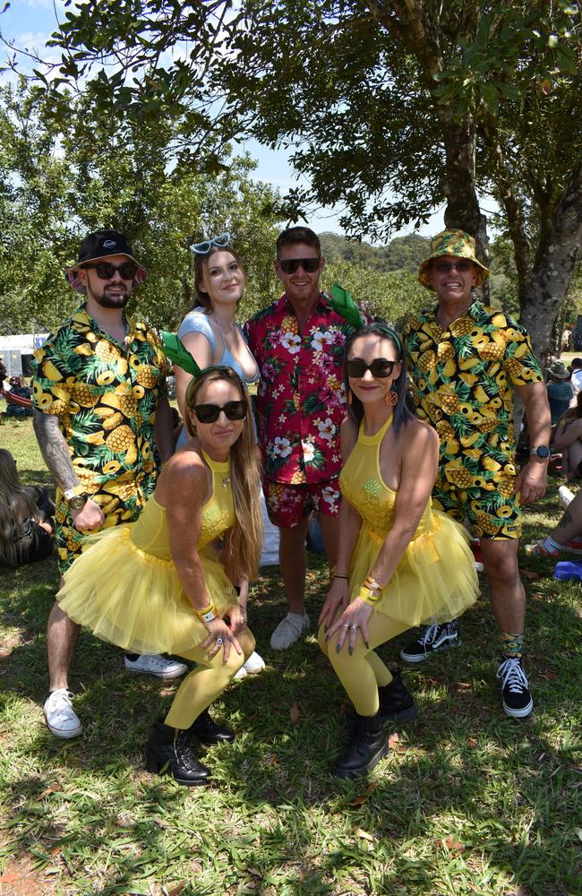 Racquel, Lisa, Chloe, Aaron, Troy and Reilly at the Big Pineapple Music Festival 2024.