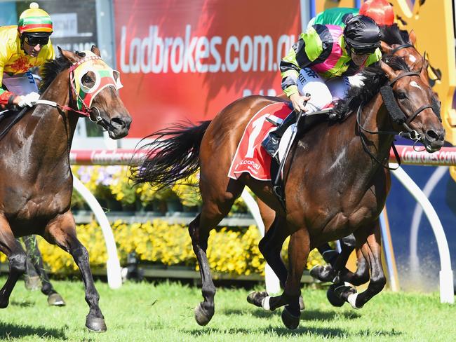 Jockey Luke Currie was popular winner after smart mare Suavito capitalised on a smooth passage throughout to capture the $500,000 Group 1 Orr Stakes in a field containing 13 individual Group 1 winners. Picture: Getty Images