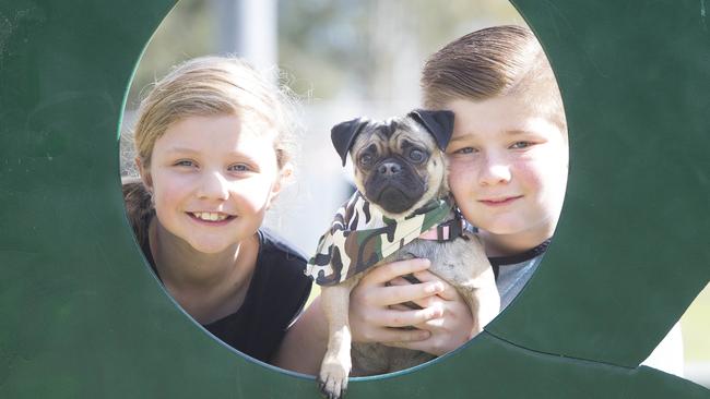 Madison Holmes, 8, with brother Cameron, 12, and their pug Sofia who won the first race.