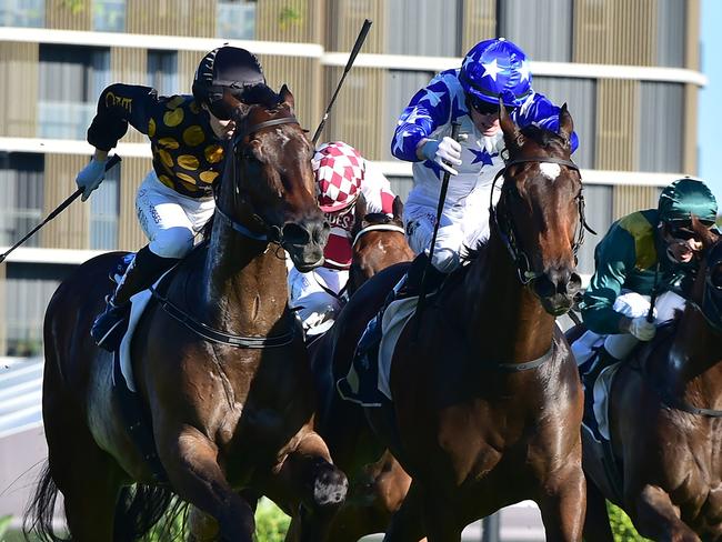 Golden Boom (blue and white colours) wins the Bribie Handicap at Eagle Farm for jockey Kyle Wilson-Taylor and jockey Angela Jones. Picture: Grant Peters, Trackside Photography.