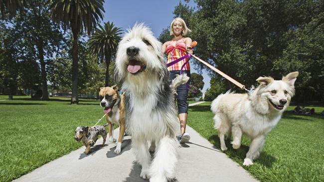 Looking for some ‘pawsome’ dog-friendly parks to take your four-legged friend? We’ve rounded up some of the best.