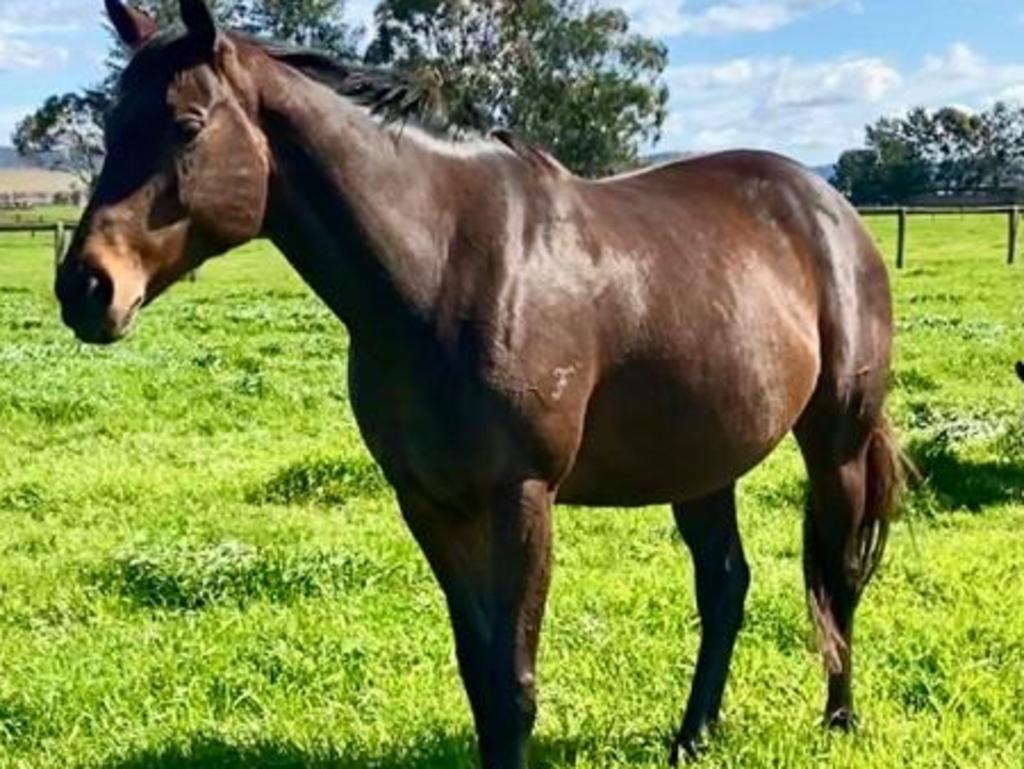 Winx pictured recentlyjust weeks away from her expected birth date.