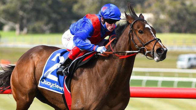 Katie Mallyon says Cox Plate favourite Zaaki is a very intelligent horse. Picture: Getty Images