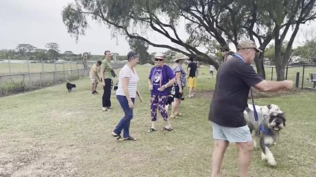 Dogs play at Maryborough dog park named in Rambo's honour